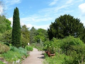 Jardin Botanique Col de Saverne
