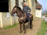 Te Paard door Frankrijk