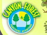 Canyon Forest