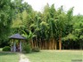 Le Parc aux Bambous