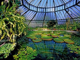 Jardin Botanique de Strasbourg
