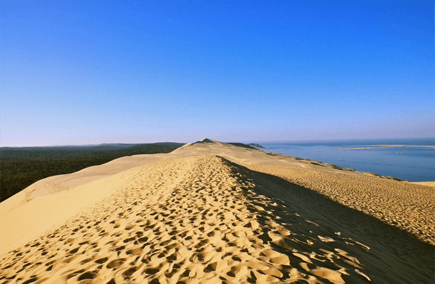 Natuur in Aquitaine en Dordogne, natuurparken, natuurreservaten, dune du pilat