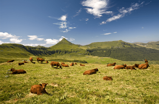 Natuur in de regio Auvergne, midden Frankrijk