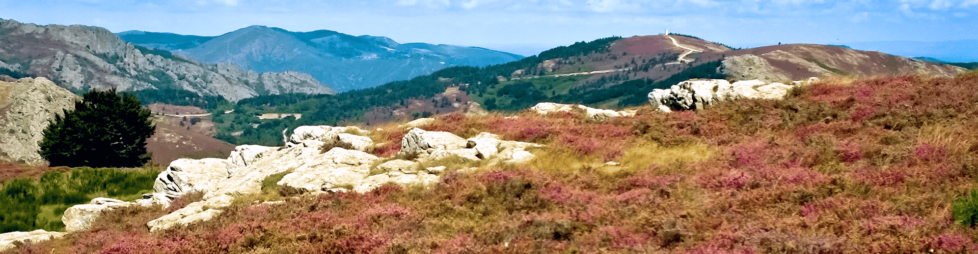 Natuur in Languedoc Roussillon: Cevennen