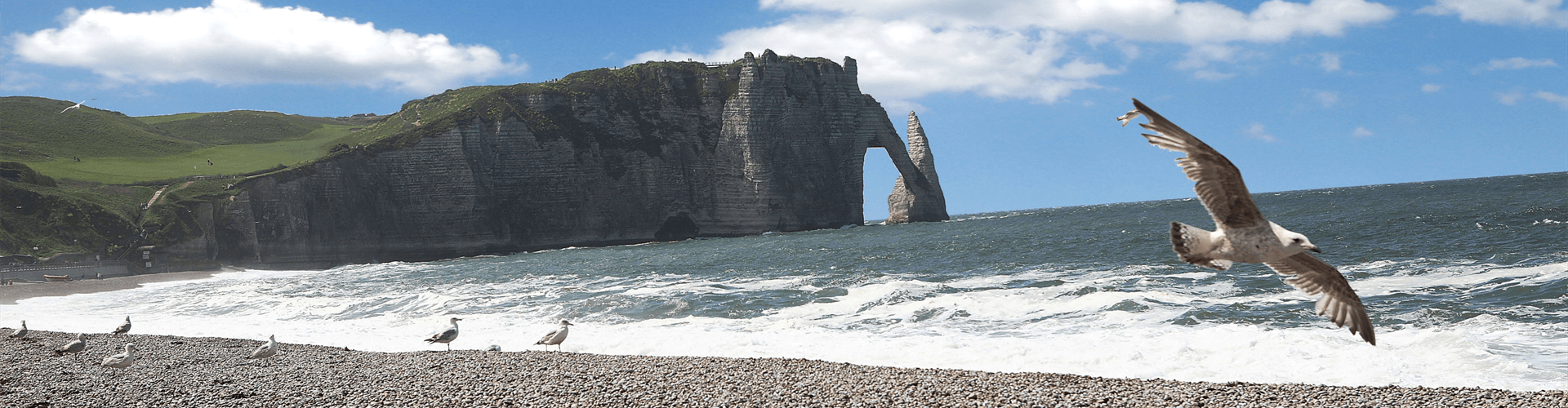 Natuur in Normandië: Falaises de Etretat