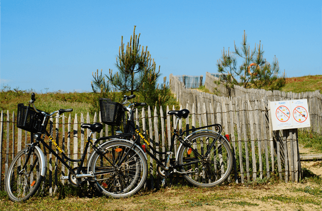 Actief Pays de la Loire: fietsen op Île de Yeu