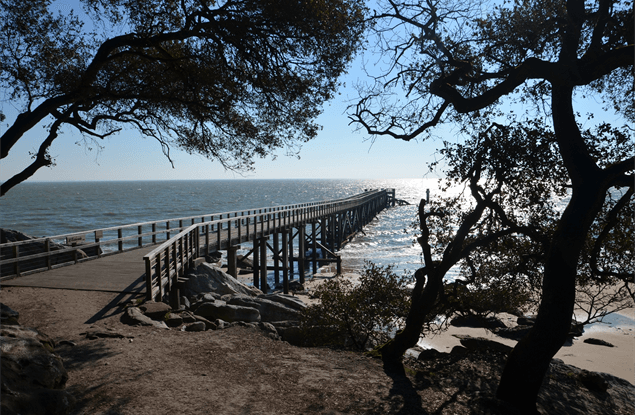 Natuur in de Vendee: Bois de la chaise, Ile de Noirmoutier