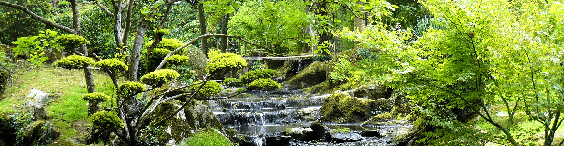 Tuinen in Pays de la Loire: Parc Oriental de Maulévrier