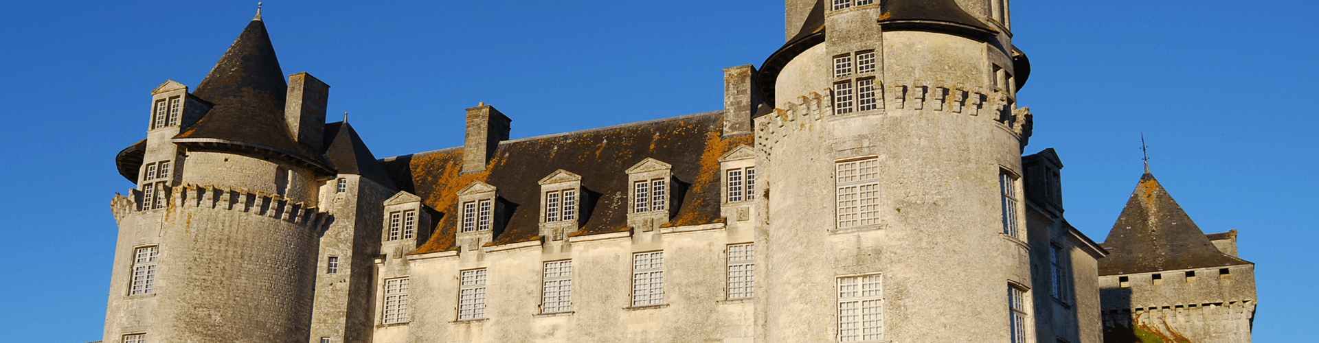 Bezienswaardigheden in Poitou Charentes: Chateau de La Roche Courbon