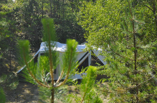 Vakantie Zuid Frankrijk: Camping Le CLos du Jay en Provence