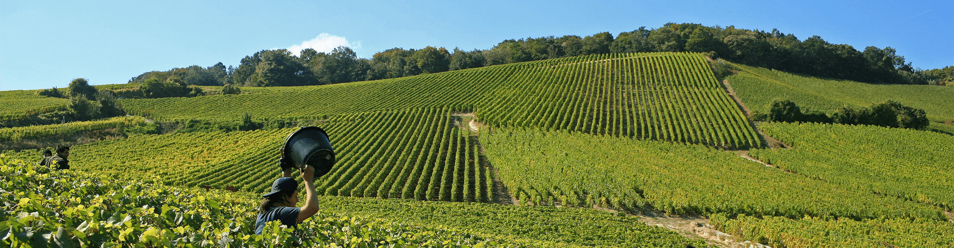 Vakantie in de Champagnestreek en de Franse Ardennen, in Noord Frankrijk