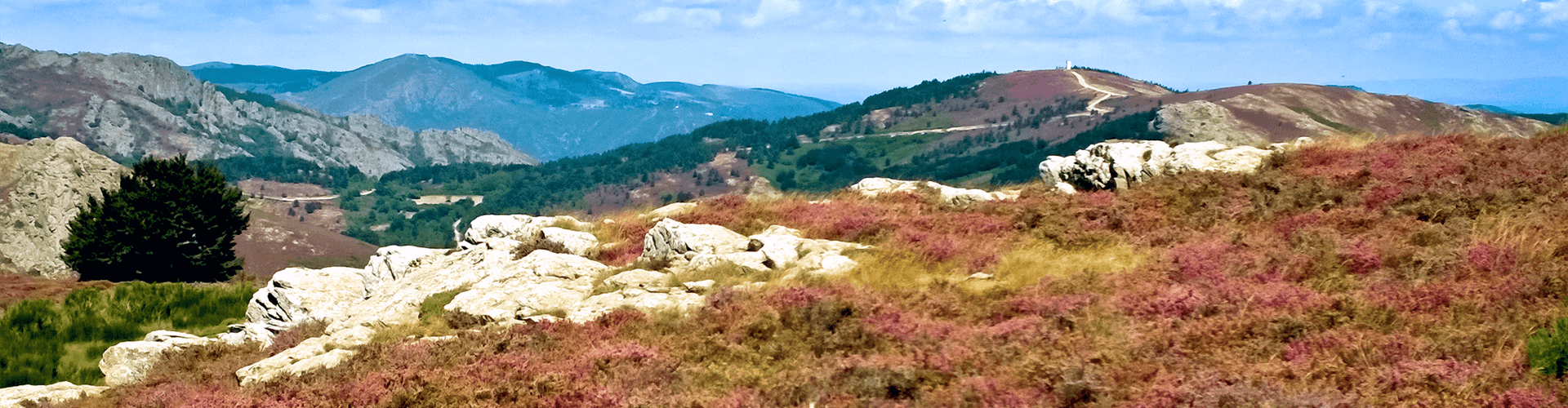 Vakantie in de Languedoc, Zuid-Frankrijk